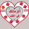 Фото профиля Wafaa Mohamed