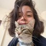 Profilbild von merv