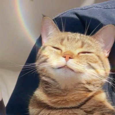 fournowon's profile picture