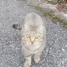 前田慶次 profil fotoğrafı