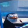 Rice's profile picture