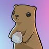 Loïc's profile picture