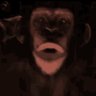 that great ape 的头像