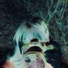 Profilbild von W. 🖤 ✨ : ( :