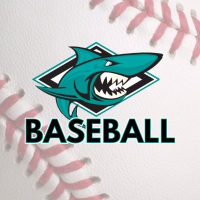 SEARK Baseball's profile picture