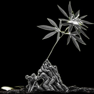 CANNABIS GROWERS COALITION 🍃's profile picture