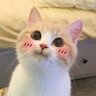 Zackboy1414 profil fotoğrafı