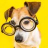 UmCarinhaQualquer profil fotoğrafı
