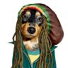 MarcoNauta's profile picture