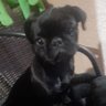 Keiko profil fotoğrafı