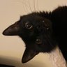 M's profile picture