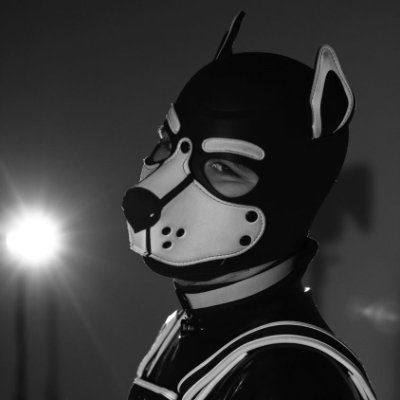 puppytoto's profile picture