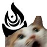 վɑӀʍɑղ 🐺's profile picture