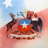 Profilbild von Chilean Aesthetics