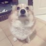 財神到 的头像