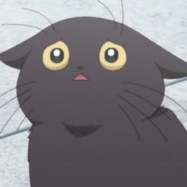 yamaachqn's profile picture