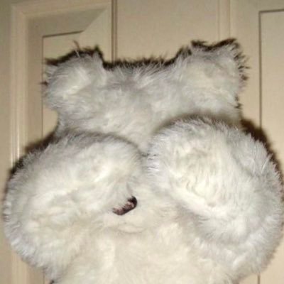 ha__heedong's profile picture