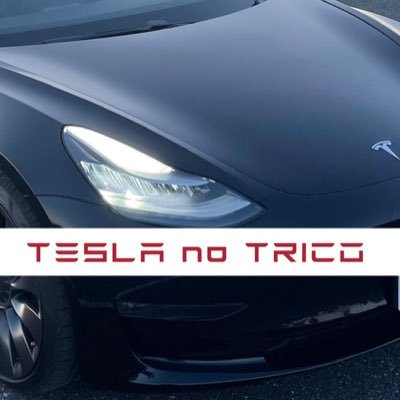 tesrico2020's profile picture