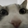 MrMarioOdyssey 的头像