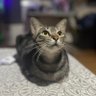 Profilbild von Marci