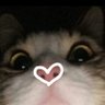 Pudim's profile picture