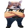 Cat-Dog Fella 的头像