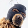 Profilbild von Brennanan
