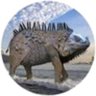 Profilbild von biggieguana