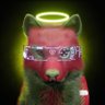 Фото профиля Digital Wilder🔺369