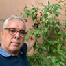 metin gürbüz profil fotoğrafı