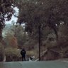Tony profil fotoğrafı