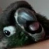 AAAAAAAAAGGGHHHHHH's profile picture