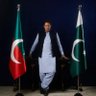 جیلو بیلو دانشور's profile picture