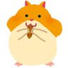 はっち🪶🐿 的头像