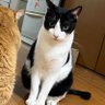 あかりんご profil fotoğrafı