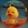 Profilbild von çağlasu