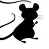 Profilbild von Die 9te Maus