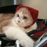 Lidya Winata profil fotoğrafı