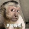 苦命螳螂 的头像