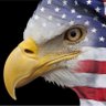 TheTuck's profile picture