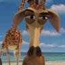 Daniels's profile picture