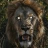 Фото профиля lion