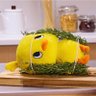 🌻ぴよちゃん🌻🥚→🐣→🐥→😽? profil fotoğrafı