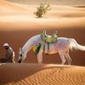 مروان's profile picture