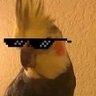 Parkiet Sylvan 😎 profil fotoğrafı