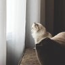 Фото профиля Mariam