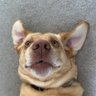 theyknowcloud's profile picture