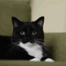 M.E.H profil fotoğrafı