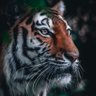 Profilbild von MAHİR