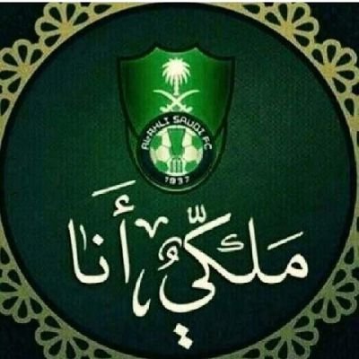 حمدان القرني💚🌹💚's profile picture